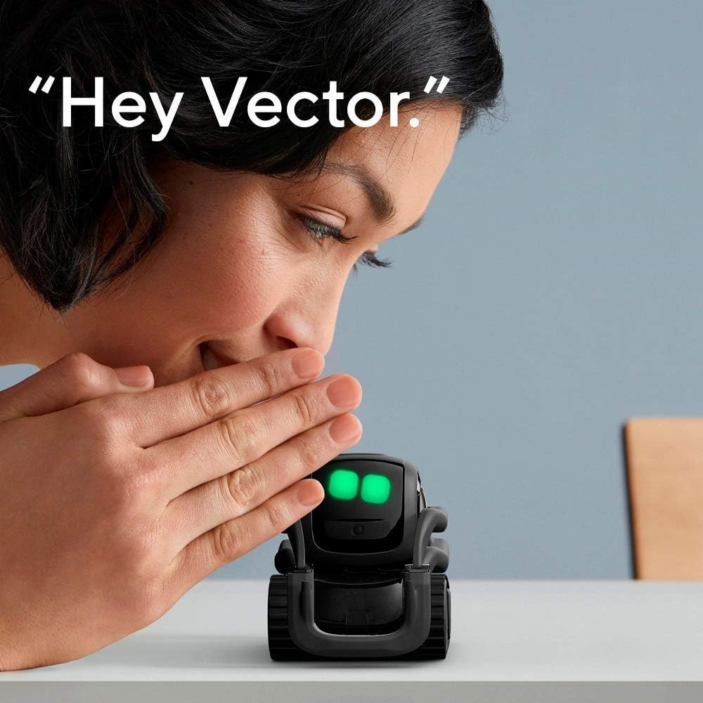 AI ChatGPT 2.0 Connected Robot - Smart Home Remote recension och pris