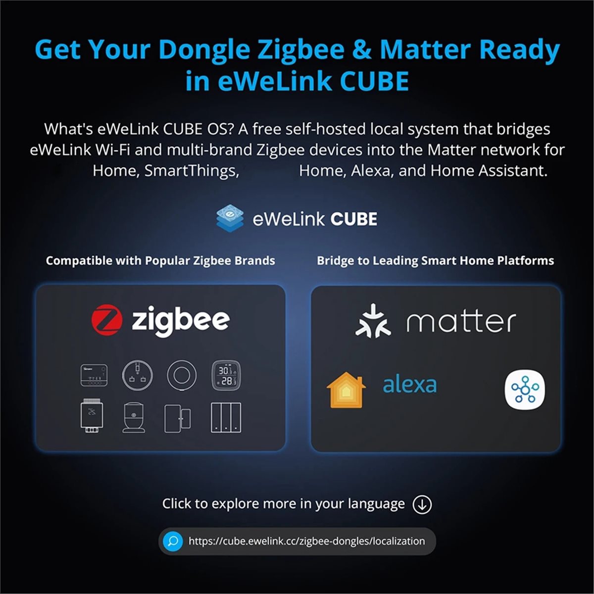 Dongle Plus MG24 Zigbee Thread - Smart Home Plus recension och pris